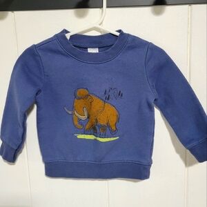 Carters Mammoth Fleece Sweatshirt 12M
